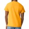 Gildan Unisex Ultra Cotton T-Shirt, Gold Crewneck Tee Set for Heat Transfer